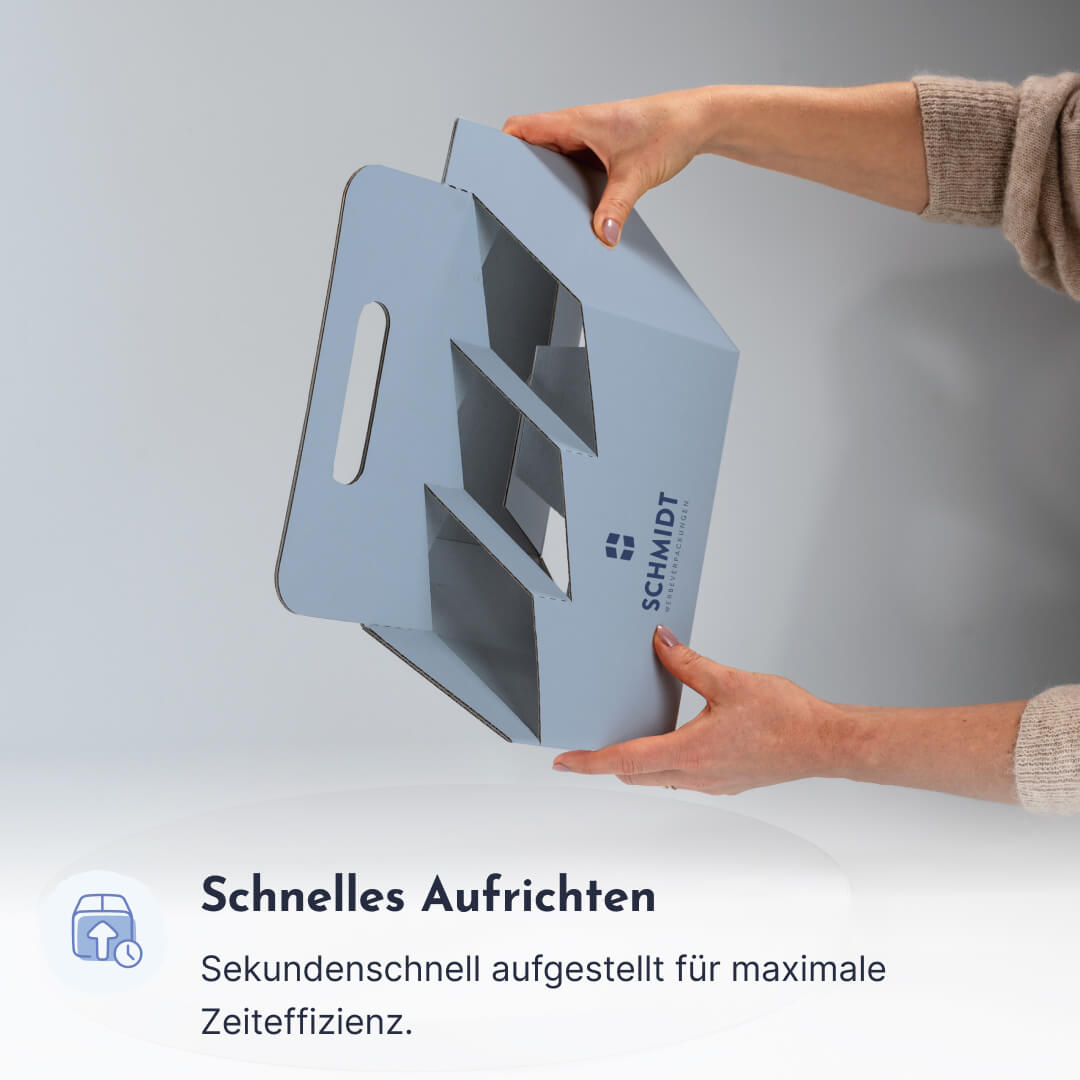 Produktmuster 6er Weinträger aus Pappe